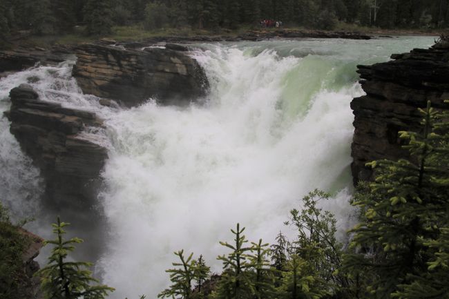 away from the glacier, into the Athabasca Fall