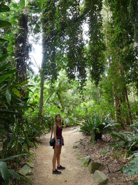 Like in the jungle