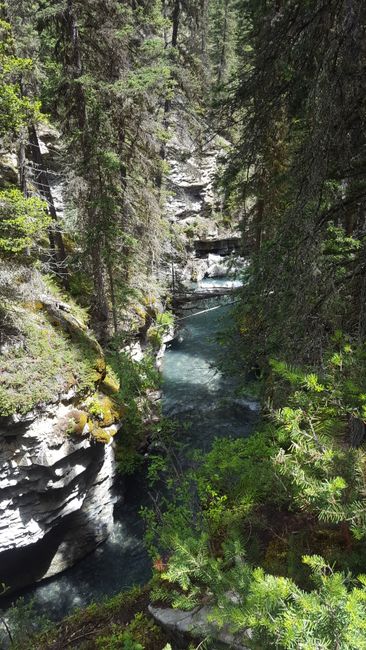 Banff - Johnston Canyon #part one