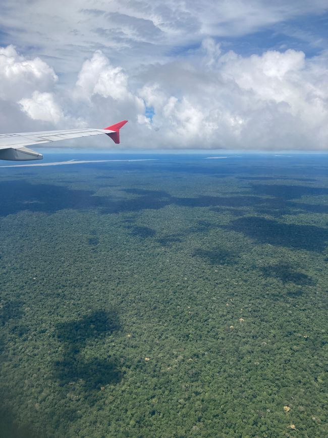 Der Amazonas vom Flugzeug