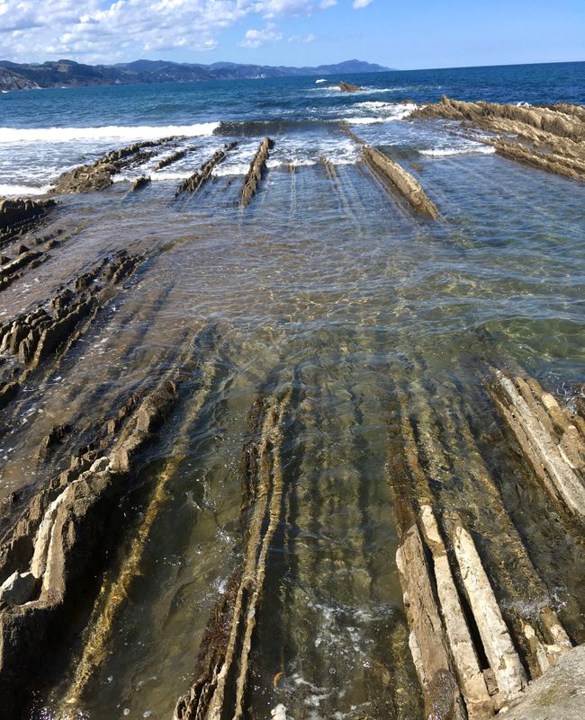 Flysch