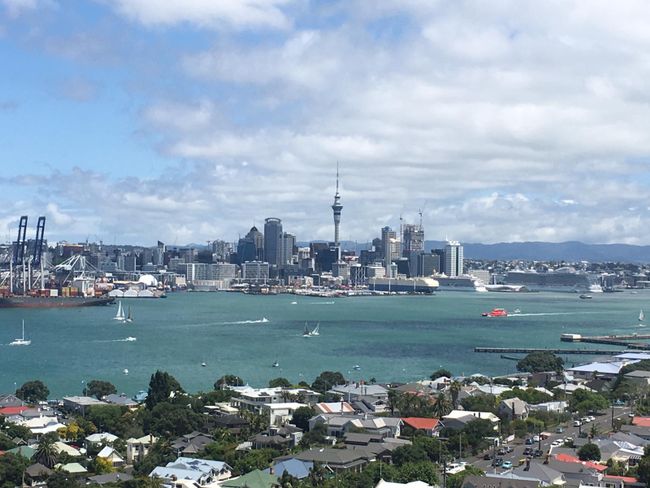 Week 1 in Auckland - Whole life is beautiful
