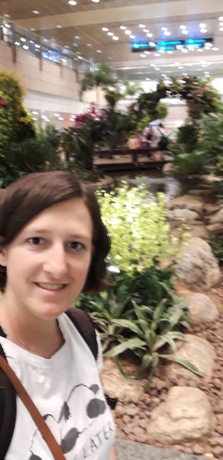 Orchid Garden at Singapore Airport