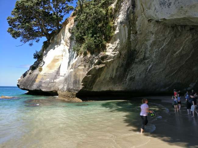 Cathedral Cove 6