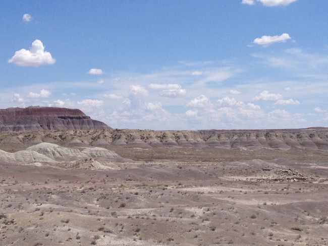 Im Petrified Forest National Park