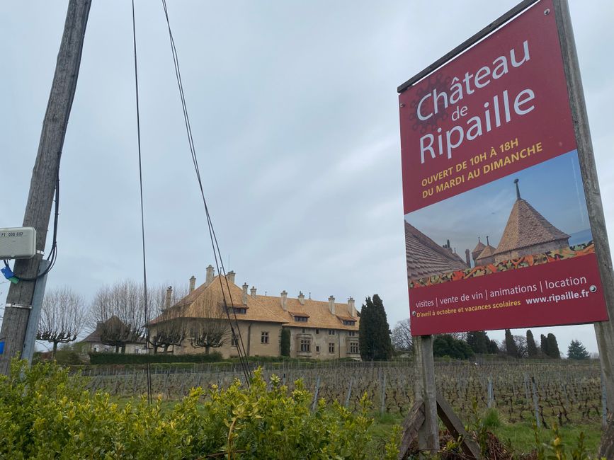 Schloss Ripaille mit Weingut 
