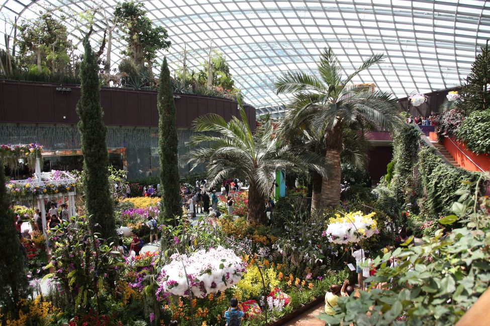 Gardens by the Bay - Flower Dome