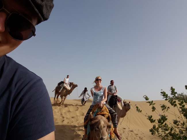 Kamelsafari in Jaisalmer