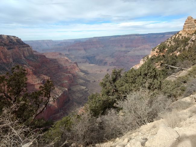 Grand Canyon II & Joshua Tree National Park