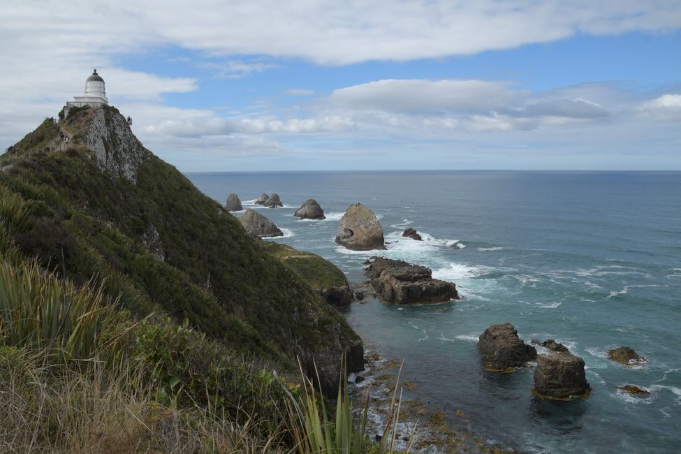 New Zealand - South Island - Catlins - Nugget Point