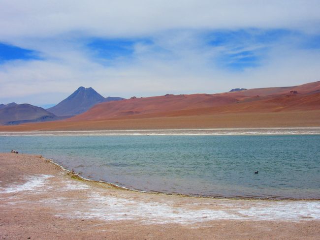 Up to the Altiplano
