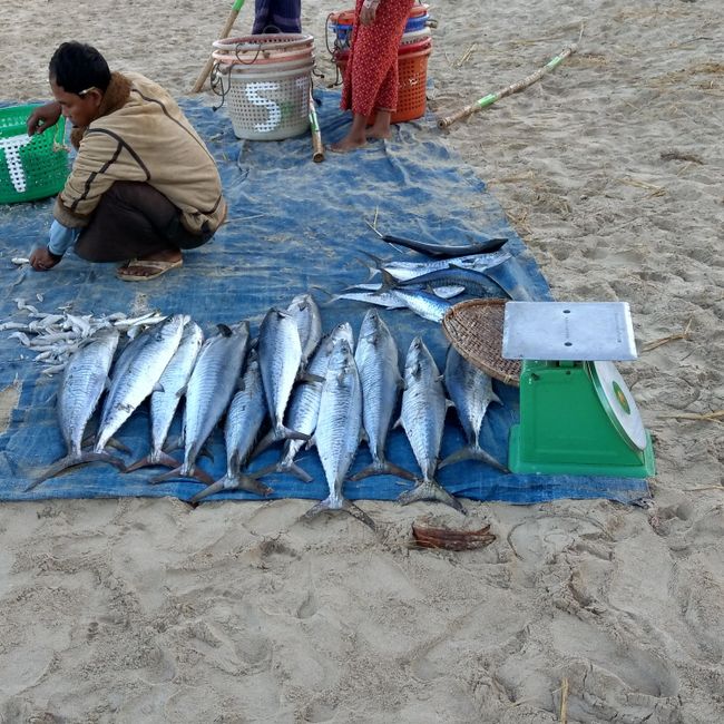 Die Fischer von Ngapali Beach