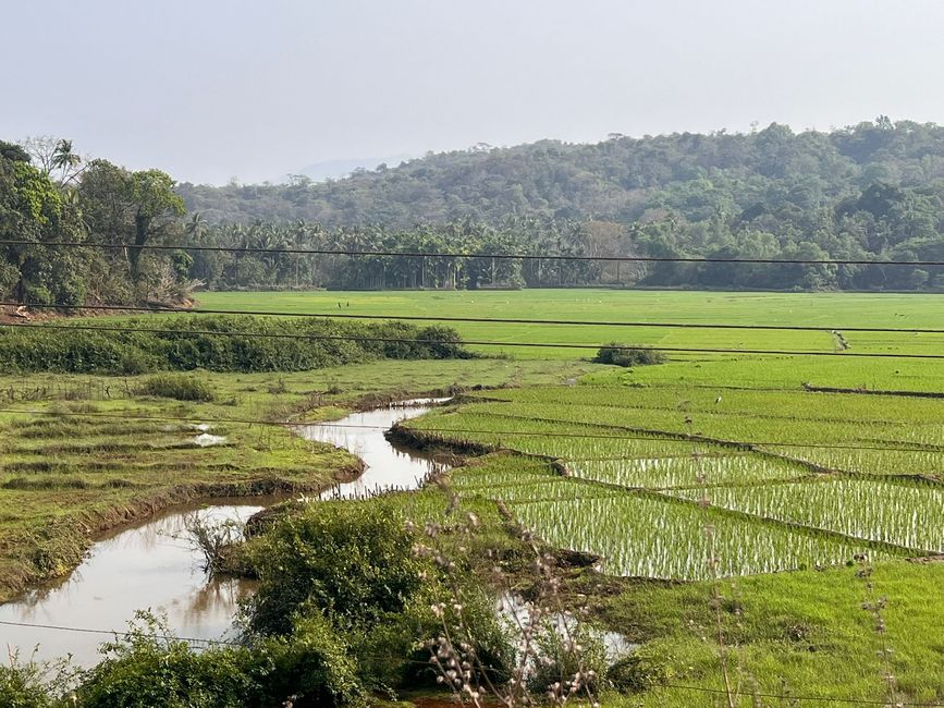 Christophers Tour durch Goa und Karnataka