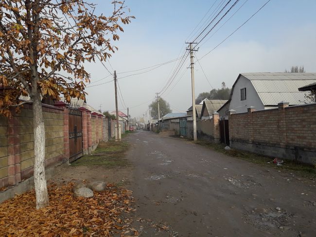 street in the residential area