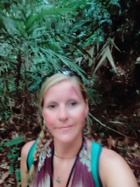 Rainforest and me