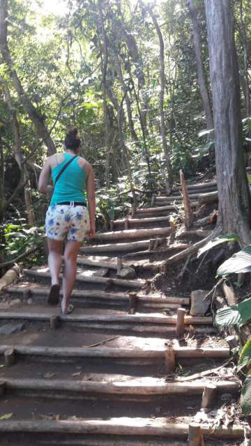 Wanderweg durch den Busch 