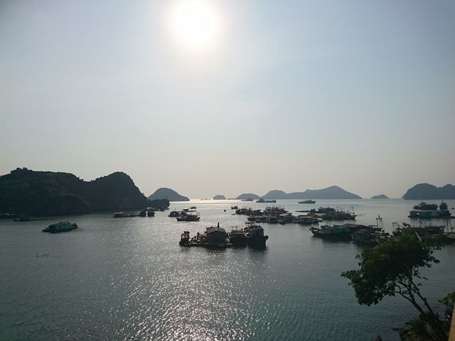 Fast Halong Bay
