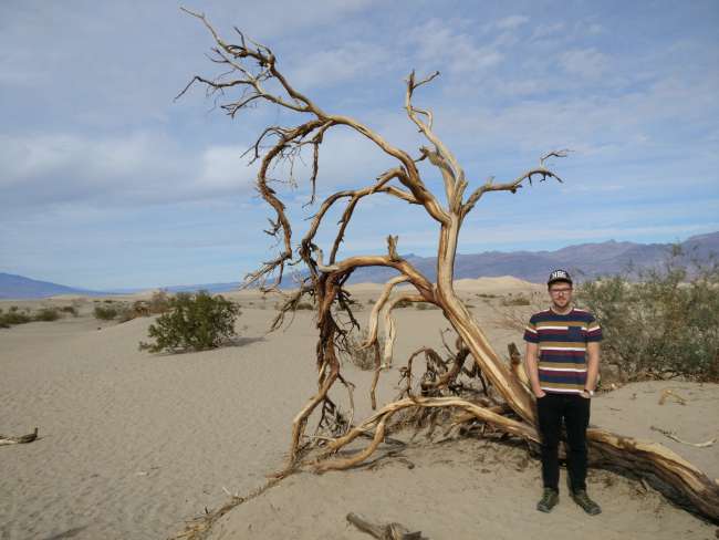 Death Valley National Park 8