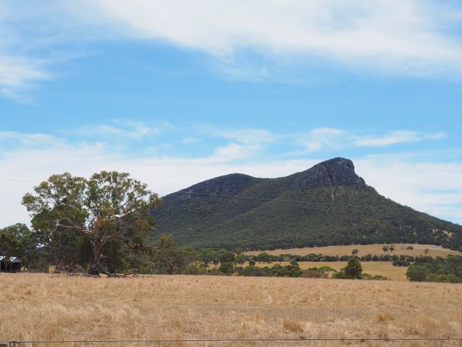 7.1.19 Volcanoes, Echidna and the Grampians - off to the mountains