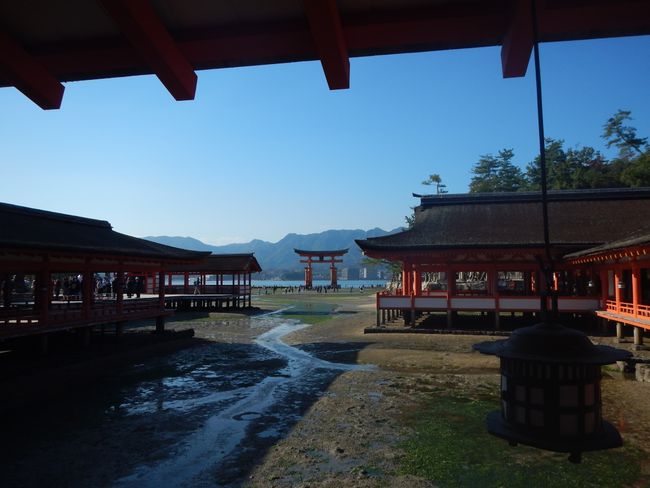 I was there today..... in Miyajima