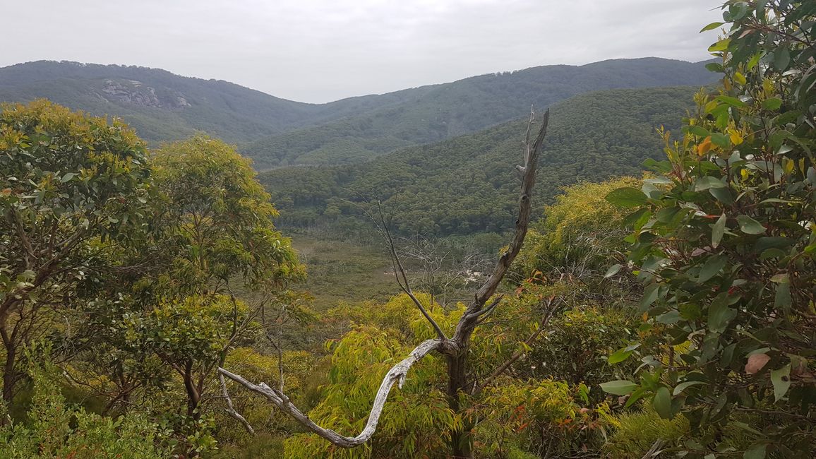 40 km of pure nature, view from the Mt. Oberon Carpark