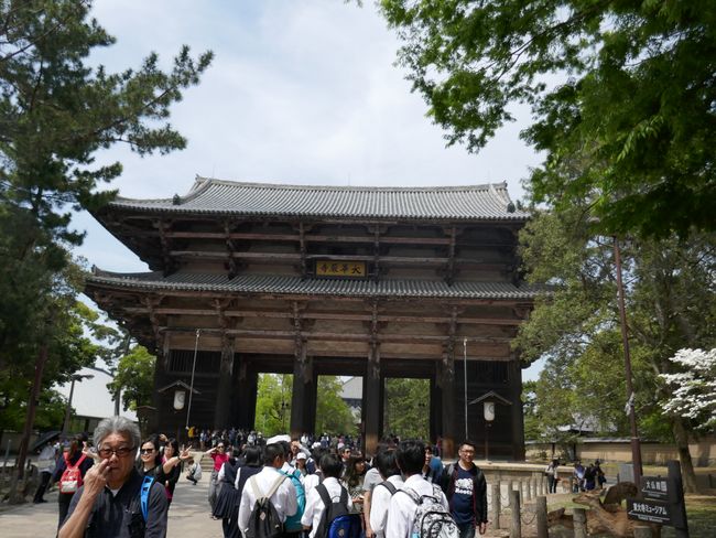 (Finally again) Kyoto and Nara (20th-22nd April)