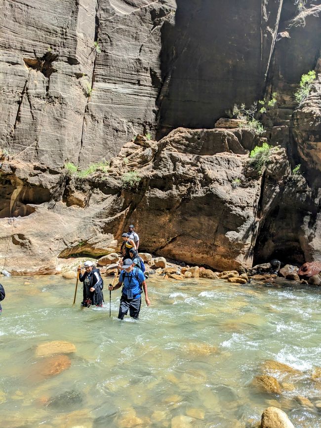 Was für ein Abenteuer! – Entlang und mitten im „reißenden“ Virgin River im Zion Nationalpark