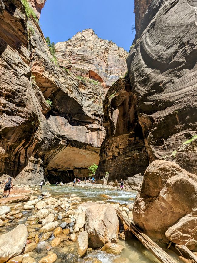 Ne macera! – Zion Ulusal Parkı'ndaki “acele eden” Virgin Nehri boyunca ve ortasında