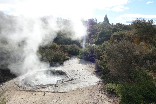 Road trip through the North Island of New Zealand