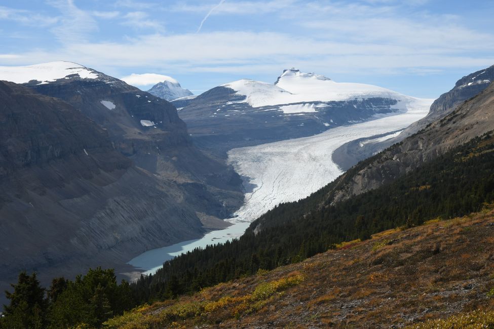 Saskatchewan Glacier am Parker Ridge