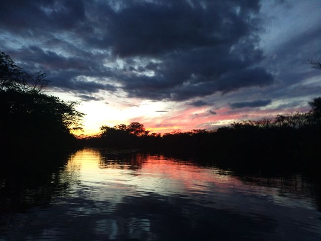 Ecuadorianisches Amazonasgebiet - Laguna Grande, Cuyabeno
