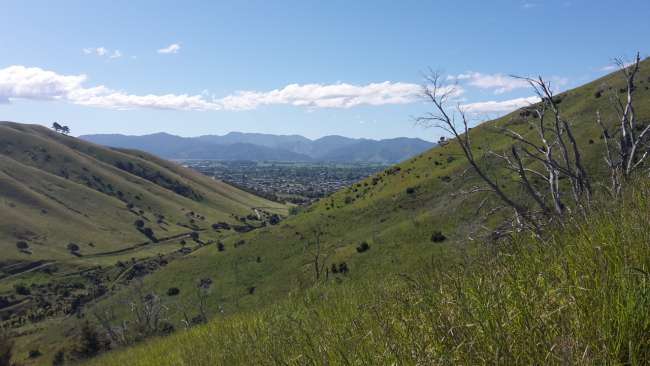 View of Blenheim from Wither Hills Farm Park