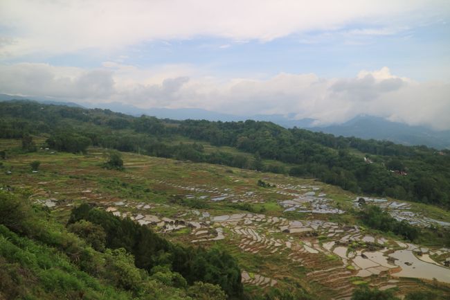 Rantepao - Tana Toraja - Sulawesi - Indonesien