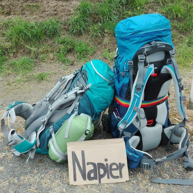 Von Taupo nach Napier - Hitchhiking