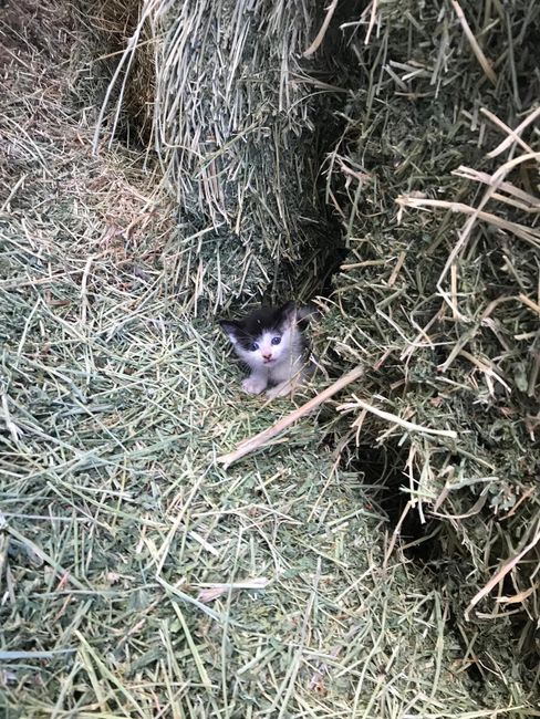 22nd November 2018