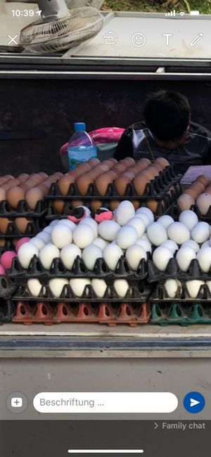 Egg stall with pink Eki eggs