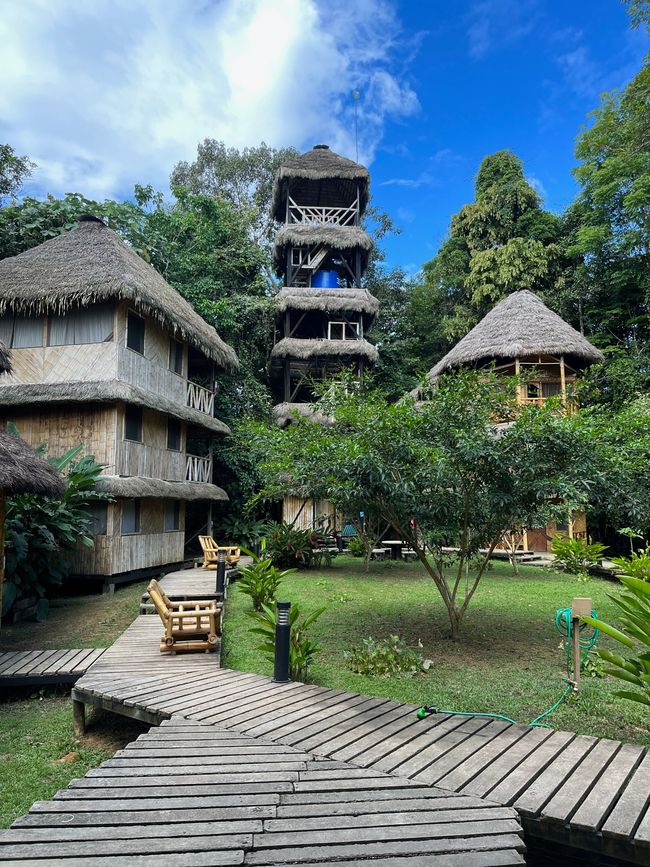 Bamboo Lodge