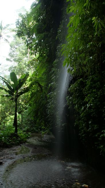Wasserfall Tukad Cepung