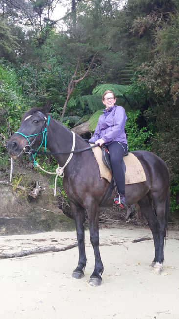 Horseback Riding in Abel Tasman National Park