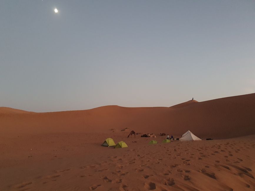 Wüstenwanderung in der Sahara