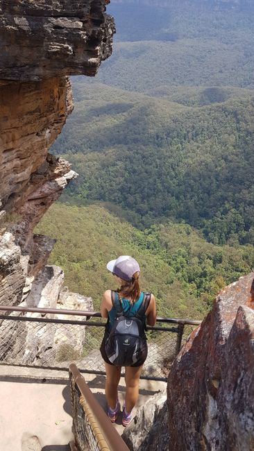 Jour 10 : Parc national des Blue Mountains & Jour 11 : Poursuite du voyage vers Nelson Bay