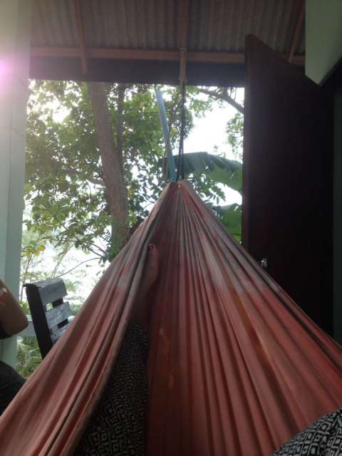 Morning routine > hanging out in the hammock