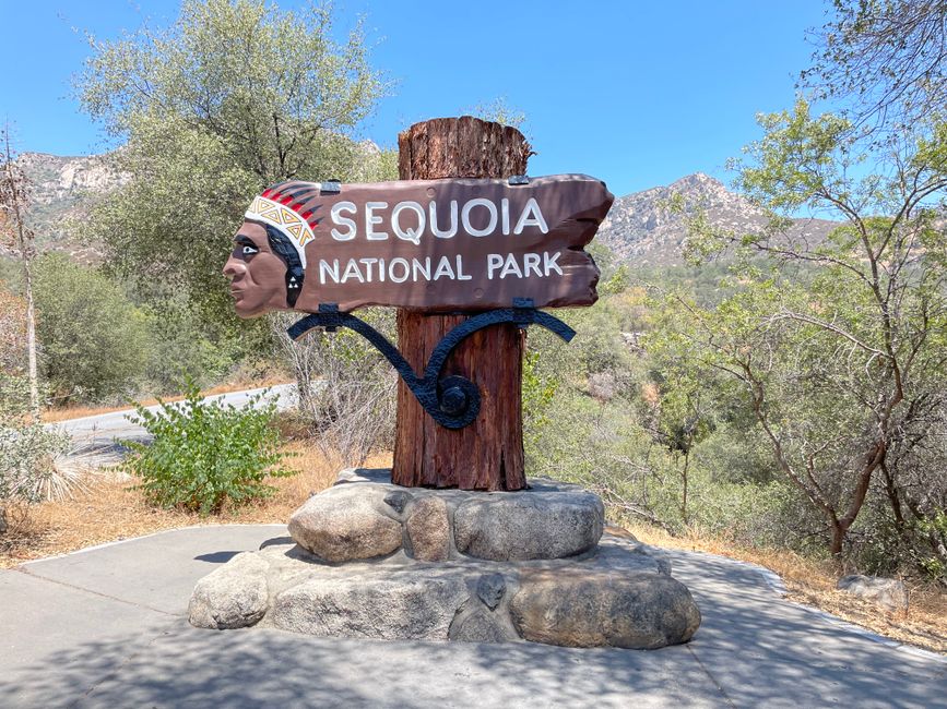 Sequoia ne Kings Canyon