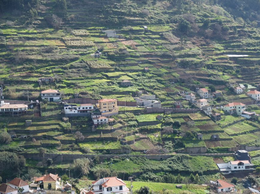 Überwintern auf Madeira oder Homeoffice im Frühling