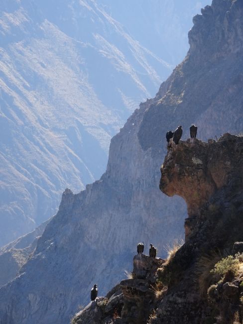 Colca Canyon and Chivay