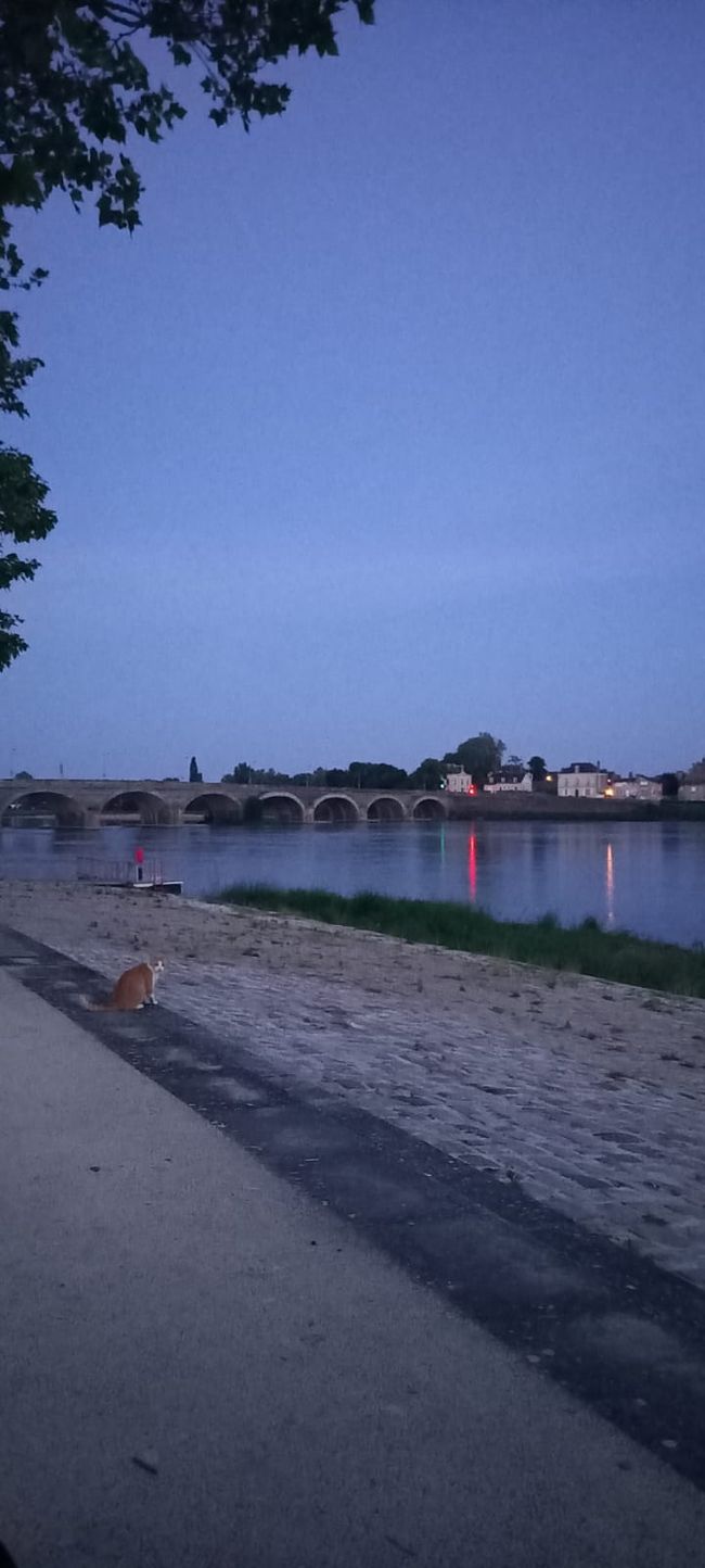 Day 8 - Made some progress and arrived at the Loire