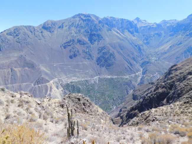 Arequipa - Trekking through the Canon de Colca