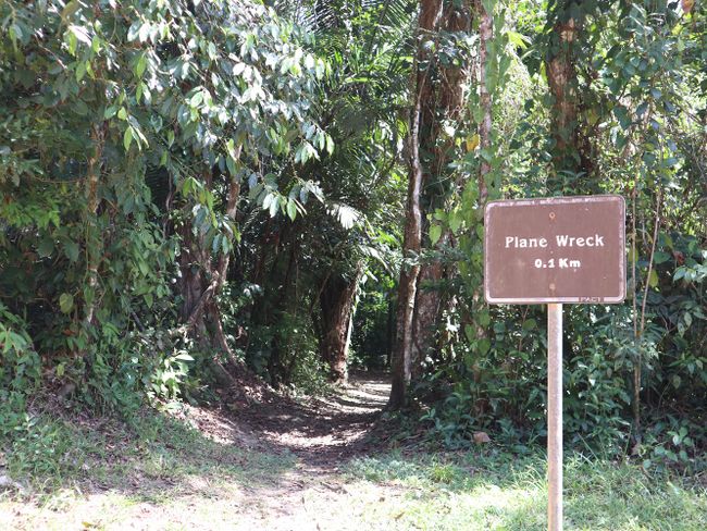 Hike i roto i te Rahui Jaguar :O (Ra 182 o te haerenga o te Ao)