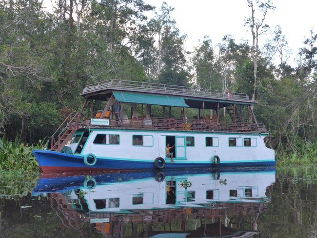 Mit dem Hausboot zum Nationalpark Tanjung Puting