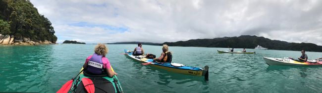 our group, 4 kayaks